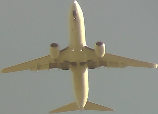 Airplane Picture