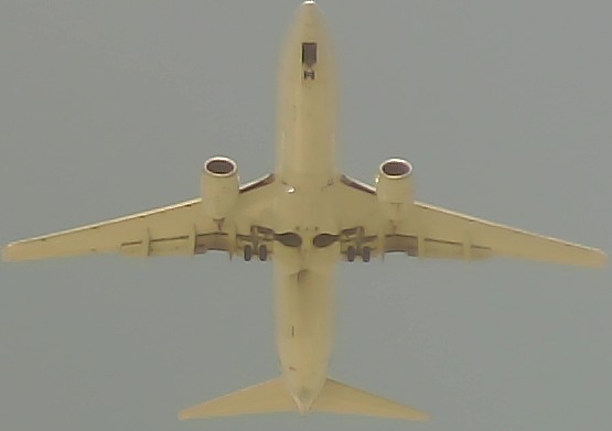 Airplane Picture