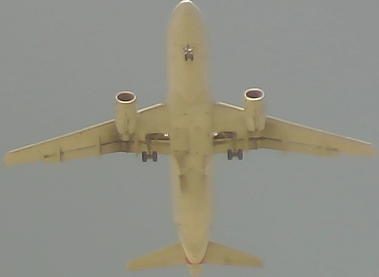 Airplane Picture