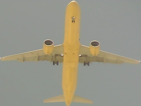 Airplane Picture