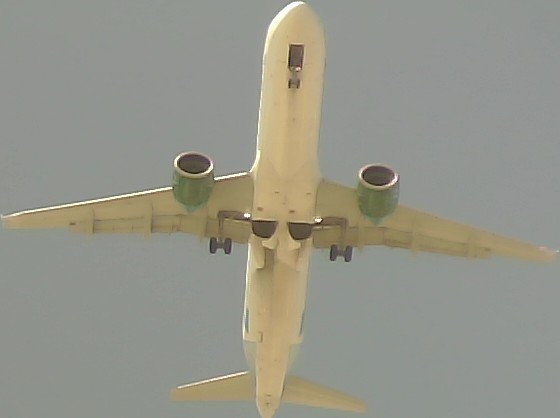 Airplane Picture