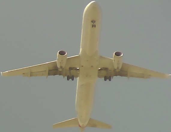Airplane Picture