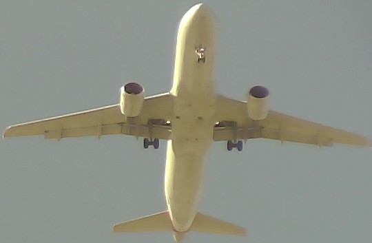 Airplane Picture
