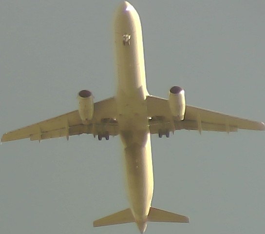 Airplane Picture