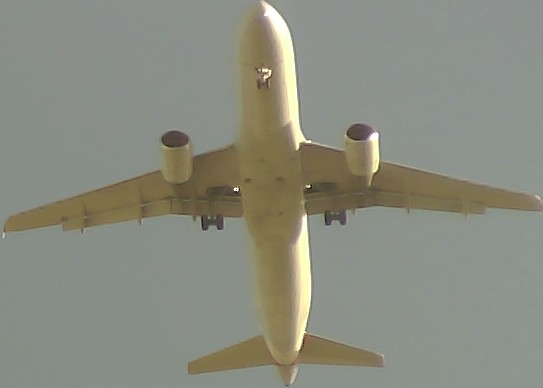 Airplane Picture