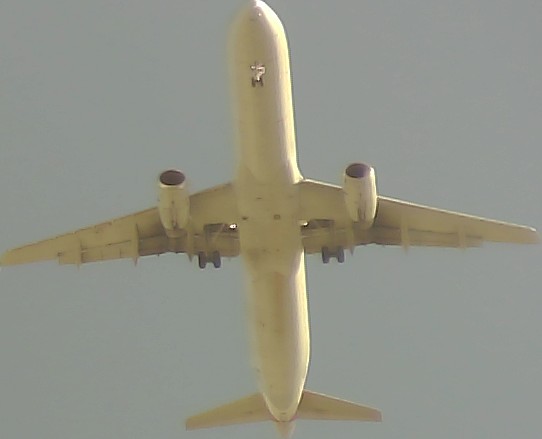 Airplane Picture