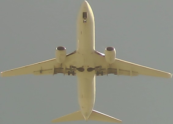 Airplane Picture