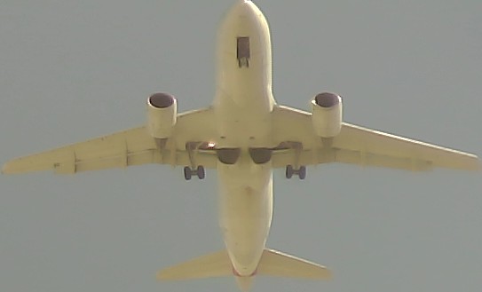 Airplane Picture