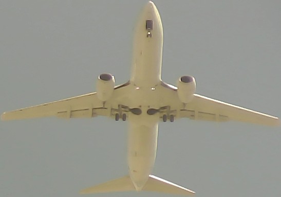 Airplane Picture
