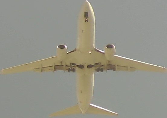 Airplane Picture