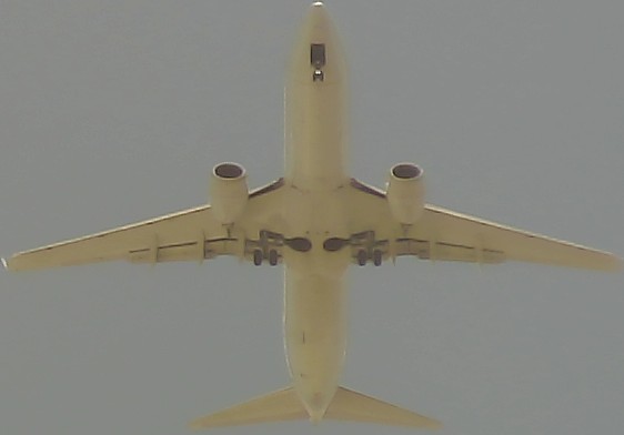 Airplane Picture