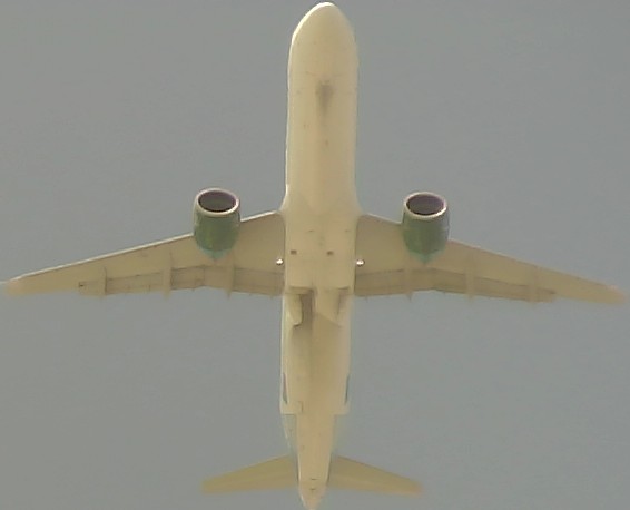 Airplane Picture