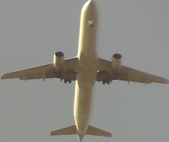 Airplane Picture