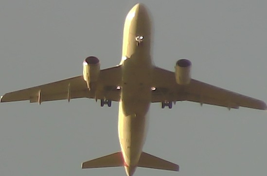 Airplane Picture