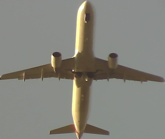 Airplane Picture