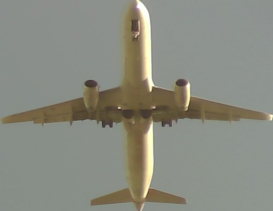 Airplane Picture