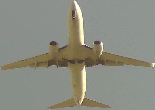 Airplane Picture