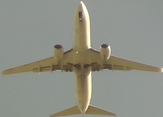 Airplane Picture