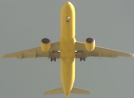 Airplane Picture