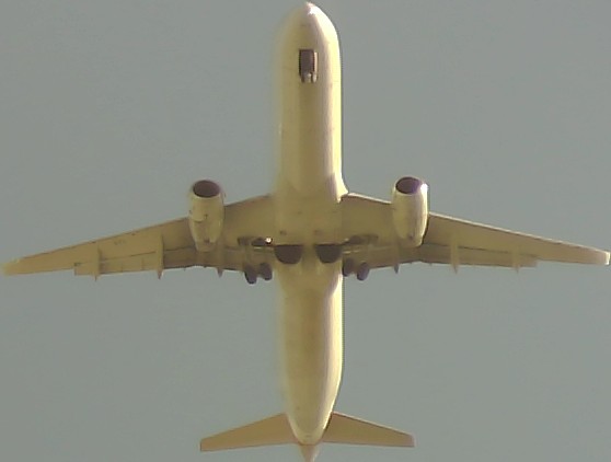 Airplane Picture