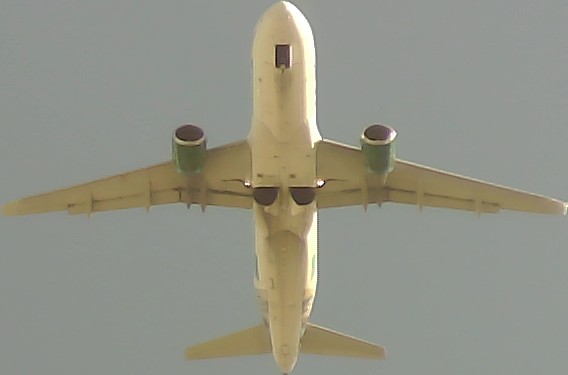 Airplane Picture