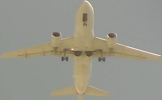 Airplane Picture