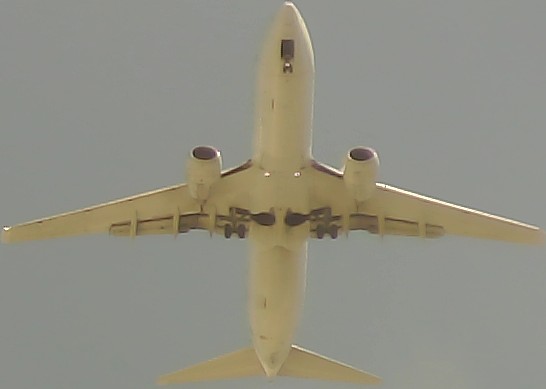 Airplane Picture