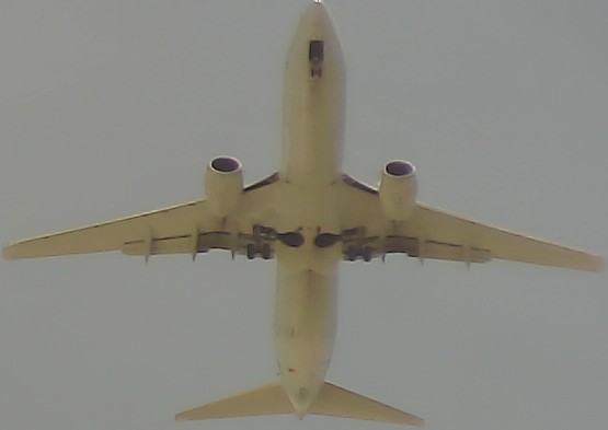 Airplane Picture
