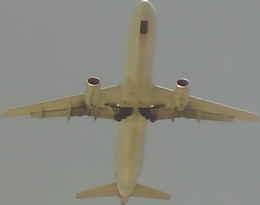 Airplane Picture