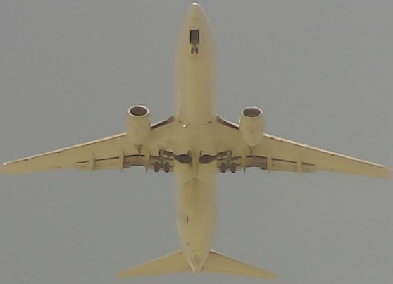 Airplane Picture