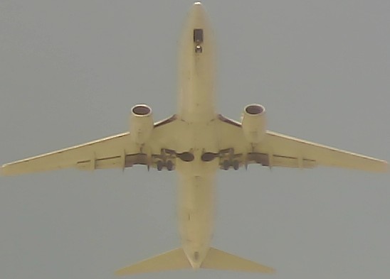 Airplane Picture