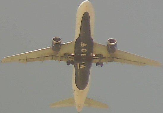 Airplane Picture