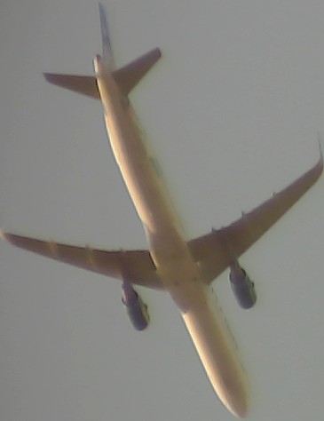 Airplane Picture