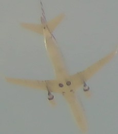 Airplane Picture