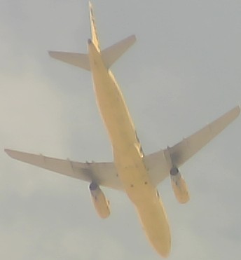Airplane Picture