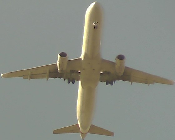 Airplane Picture