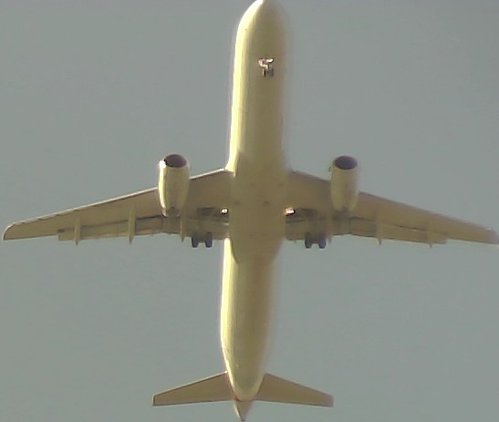 Airplane Picture