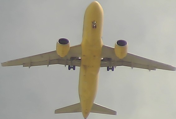 Airplane Picture