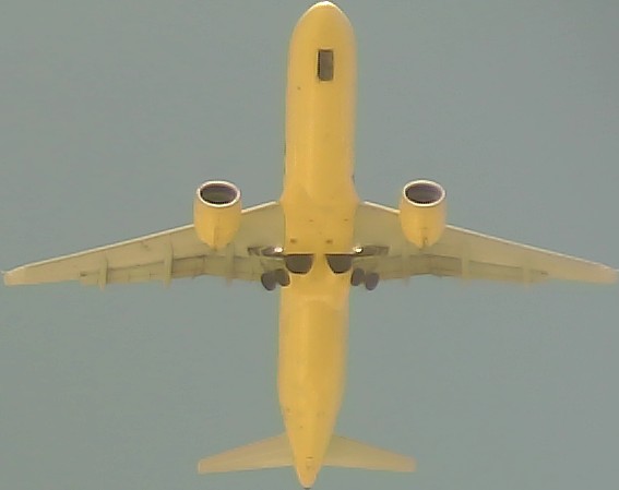 Airplane Picture