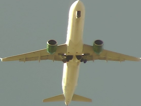 Airplane Picture