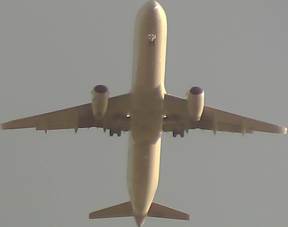 Airplane Picture