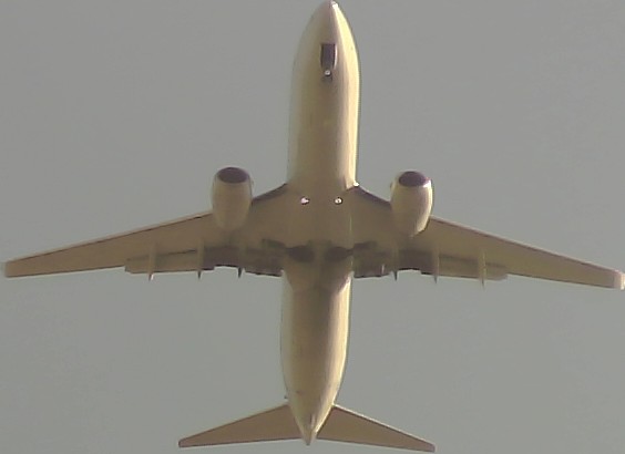 Airplane Picture