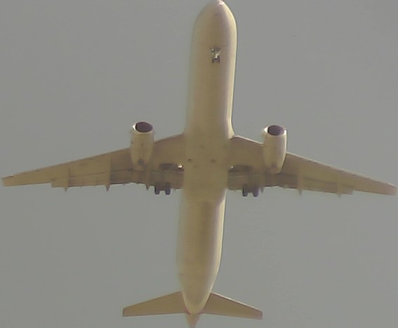 Airplane Picture