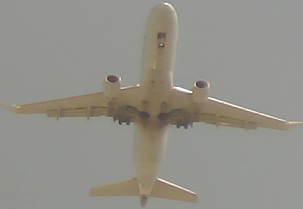 Airplane Picture