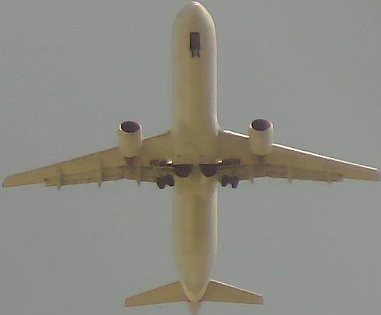 Airplane Picture