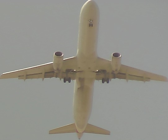 Airplane Picture