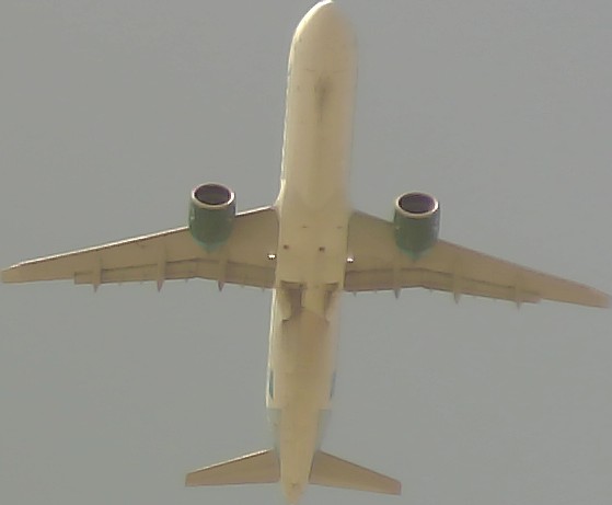 Airplane Picture