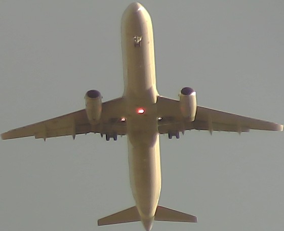 Airplane Picture