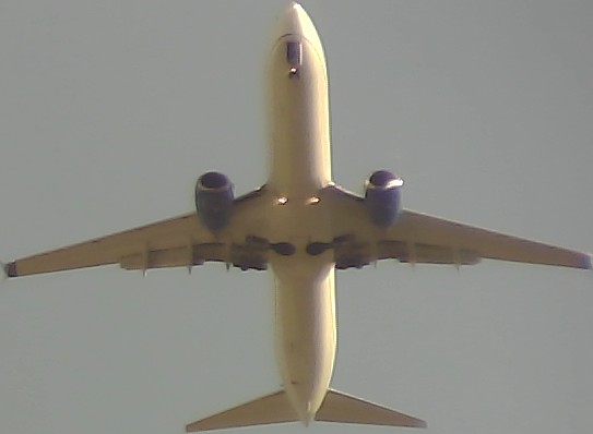 Airplane Picture