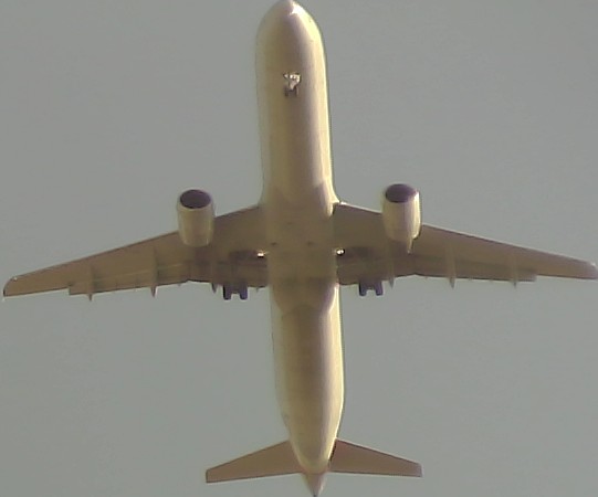Airplane Picture